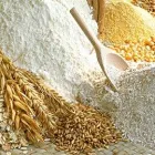 Immagine 25 azienda VA.ZI. ITALIA S.A.S. Succhi di frutta in Palermo