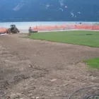 Immagine 1 azienda VAN DEN BORRE NICOLA VIVAI GIARDINAGGIO Vivaio in Ponzano Veneto TV