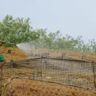 Immagine 3 azienda VAN DEN BORRE NICOLA VIVAI GIARDINAGGIO Vivaio in Ponzano Veneto TV