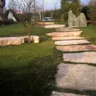 Immagine 5 azienda VAN DEN BORRE NICOLA VIVAI GIARDINAGGIO Vivaio in Ponzano Veneto TV