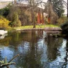 Immagine 6 azienda VAN DEN BORRE NICOLA VIVAI GIARDINAGGIO Vivaio in Ponzano Veneto TV