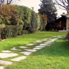 Immagine 7 azienda VAN DEN BORRE NICOLA VIVAI GIARDINAGGIO Vivaio in Ponzano Veneto TV