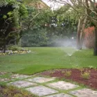 Immagine 8 azienda VAN DEN BORRE NICOLA VIVAI GIARDINAGGIO Vivaio in Ponzano Veneto TV