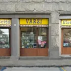 Immagine 1 azienda VARZI ELETTRONICA Veicoli in Torino