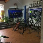 Immagine 2 azienda VELO.0 Veicoli in Aci Castello CT