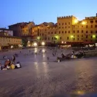 Immagine 1 azienda VENICE SUNSET Servizi professionali in Venezia