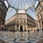 Immagine 9 azienda VENICE SUNSET Servizi professionali in Venezia
