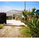 Immagine 3 azienda VERDE GARDEN SALERNO Vivaio in Salerno