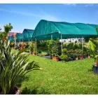 Immagine 5 azienda VERDE GARDEN SALERNO Vivaio in Salerno