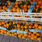 Immagine 8 azienda VERO SAPORE DI SICILIA Shopping e acquisti in Riese Pio X TV