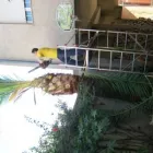 Immagine 2 azienda VERTICAL SYSTEM Shopping e acquisti in Cagliari