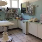 Immagine 8 azienda VETERINARIO GANGI DR. MASSIMO Veterinario in Besnate VA