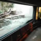 Immagine 2 azienda VETRERIA DE REMIGGI Shopping e acquisti in Fiumicino RM