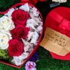 Immagine 1 azienda VIA COLETTI 71 FIORI Vivaio in San Giuliano A Mare Rn