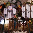 Immagine 4 azienda VIA COLETTI 71 FIORI Vivaio in San Giuliano A Mare Rn