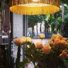 Immagine 8 azienda VIA COLETTI 71 FIORI Vivaio in San Giuliano A Mare Rn