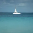 Immagine 2 azienda VIAGGI BONICALZI Viaggi e turismo in Lonate Pozzolo VA