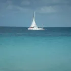 Immagine 5 azienda VIAGGI BONICALZI Viaggi e turismo in Lonate Pozzolo VA