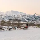 Immagine 3 azienda VIAGGI PINARELLA Viaggi e turismo in Cervia RA