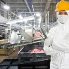 Immagine 1 azienda VIALO TRENTO TRADE Servizi professionali in Lavis TN