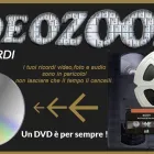Immagine 1 azienda VIDEO ZOOM 2 Shopping e acquisti in Alfonsine RA