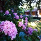 Immagine 3 azienda VILLA 1010 Viaggi e turismo in Latina