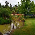 Immagine 6 azienda VILLA 1010 Viaggi e turismo in Latina