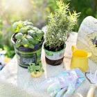 Immagine 7 azienda VILLA 1010 Viaggi e turismo in Latina