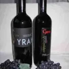 Immagine 5 azienda VINI GRIS - PRODUZIONE E VENDITA DIRETTA VINI Servizi agricoli in Gorgo Al Monticano TV