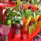 Immagine 3 azienda VITALFLOR S.N.C. Vivaio in Palermo