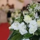 Immagine 6 azienda VITALFLOR S.N.C. Vivaio in Palermo