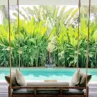 Immagine 8 azienda VIVAI ARONICA Vivaio in Aci Castello CT