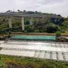 Immagine 7 azienda VIVAI BONACCORSO Vivaio in Messina