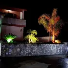 Immagine 9 azienda VIVAI BONACCORSO Vivaio in Messina