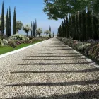 Immagine 2 azienda VIVAI CHERUBINI F.LLI Vivaio in Lonato Del Garda BS