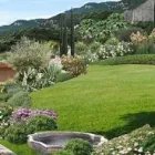 Immagine 8 azienda VIVAI CHERUBINI F.LLI Vivaio in Lonato Del Garda BS