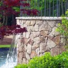 Immagine 1 azienda VIVAI FRANCESCHETTO SOCIETA' AGRICOLA Vivaio in Teolo PD