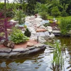 Immagine 2 azienda VIVAI FRANCESCHETTO SOCIETA' AGRICOLA Vivaio in Teolo PD