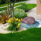 Immagine 3 azienda VIVAI FRANCESCHETTO SOCIETA' AGRICOLA Vivaio in Teolo PD