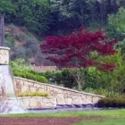 Immagine 4 azienda VIVAI FRANCESCHETTO SOCIETA' AGRICOLA Vivaio in Teolo PD