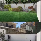 Immagine 1 azienda VIVAI MAISTO ANTONIO E FRANCESCO Vivaio in Melito Di Napoli NA