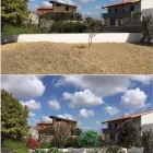 Immagine 7 azienda VIVAI MAISTO ANTONIO E FRANCESCO Vivaio in Melito Di Napoli NA