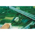 Immagine 1 azienda VIVAI MARINO - MARINO PLANTS Vivaio in Melito Di Napoli NA