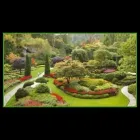 Immagine 4 azienda VIVAI PATUELLI WILMER Vivaio in Ravenna