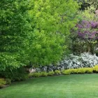 Immagine 1 azienda VIVAI PIANTE FORLIN Servizi professionali in Saccolongo PD