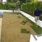 Immagine 2 azienda VIVAI PIANTE FORLIN Servizi professionali in Saccolongo PD