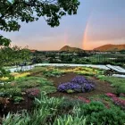 Immagine 3 azienda VIVAI PIANTE FORLIN Servizi professionali in Saccolongo PD