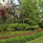 Immagine 5 azienda VIVAI PIANTE FORLIN Servizi professionali in Saccolongo PD