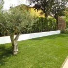 Immagine 6 azienda VIVAI PIANTE FORLIN Servizi professionali in Saccolongo PD