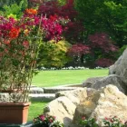 Immagine 7 azienda VIVAI PIANTE FORLIN Servizi professionali in Saccolongo PD